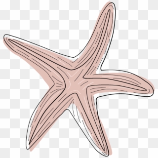 Free Online Starfish Sea Plant Underwater Vector For - Starfish Clipart