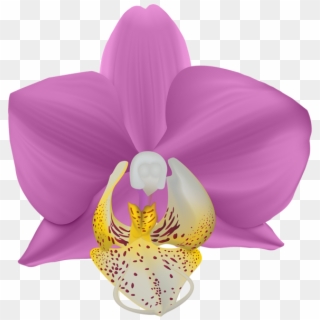 Art Images, Orchids, Clip Art, Flowers, Art Pictures, - Portable Network Graphics - Png Download