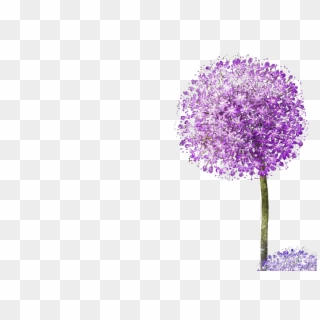 Dandelion Transparent Purple - Diente De Leon Lila Clipart