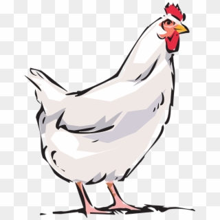 Cock, Animal, Farm - Polla Png Clipart