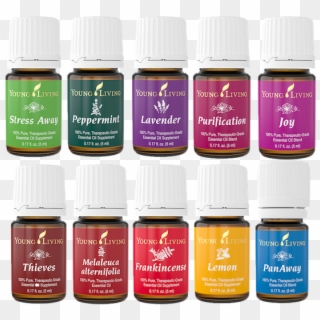 Essential Oils By Young Living - Every Day Young Living Clipart