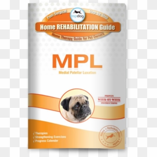 Download Mpl Guide - Pug Clipart