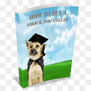 How To Buy A Shock Dog Collar - Puppy Training Clipart