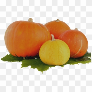 Pictures, Free - Pumpkin Clipart