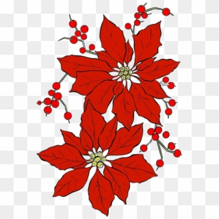 Poinsettia,christmas,red Flower,seasonal,isolated - Poinsettia Christmas Flowers Clipart