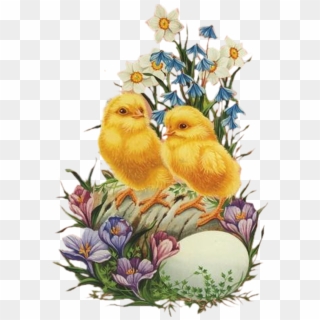 Easter Chicks And Flowers - Easter Clipart