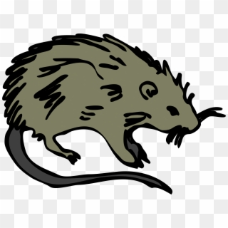 Cartoon Picture Of A Rat - Rodents Clipart - Png Download