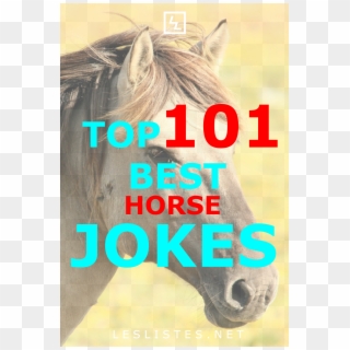 Do You Love Horses Do You Love Jokes Then Check Out - Mane Clipart