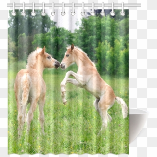 Haflinger Horses Cute Funny Pony Foals Playing Horse - Shower Clipart