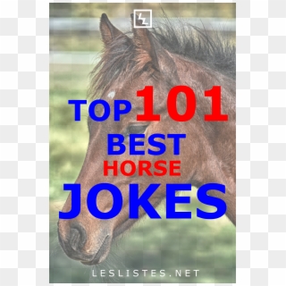 Do You Love Horses Do You Love Jokes Then Check Out - Mane Clipart