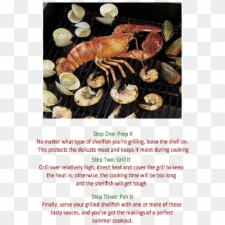 There Are Many Good Reasons To Fresh Grilled Sea Shellfish - Grilled Shellfish Clipart