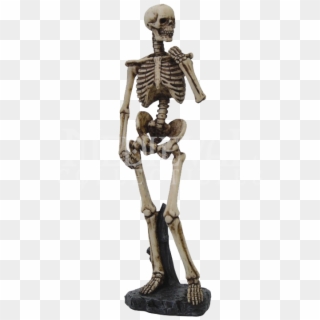 Michelangelo David Skeleton , Png Download - Skeleton Nude Clipart