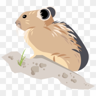 Yellowstone Pika Project - Hamster Clipart