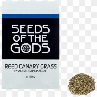 Reed Canary Grass - Psychotria Viridis Clipart
