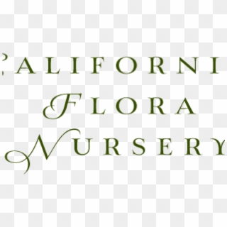 California Flora Nursery, Fulton, Ca - Boys State Clipart