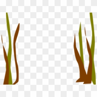 Reed Clipart Reed Plant - Png Download