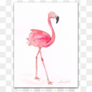 Flamingo Watercolor Illustration The Studio By Lauren - Greater Flamingo Clipart