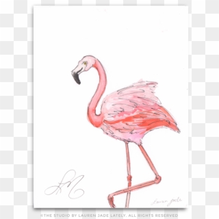 Flamingo No - Three - Greater Flamingo Clipart