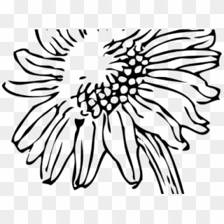Drawn Sunflower Silhouette - Black And White Sunflower Png Clipart