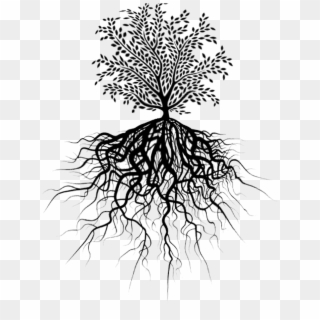 Transparent Tree Of Life With Roots - Tree Of Life Picsart Clipart