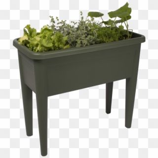Home > Collection > Green Basics Grow Table Xxl - Flowerpot Clipart