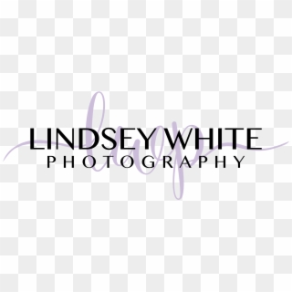 Lindsey White Photography - Calligraphy Clipart