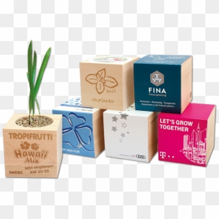 Plants In A Wooden Cube - Box Clipart
