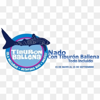 Tiburonballena Trans - - Whale Shark Clipart