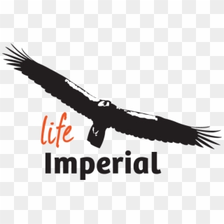 Creation Of The Project's Logo - Life Imperial Clipart