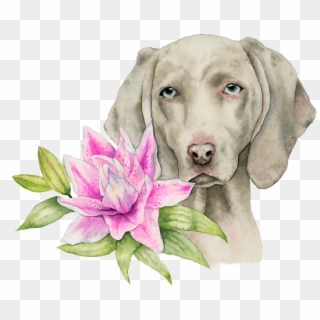 Bleed Area May Not Be Visible - Weimaraner Painting Clipart