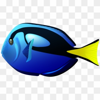 Blue Tang Fish Png Clipart Transparent Png
