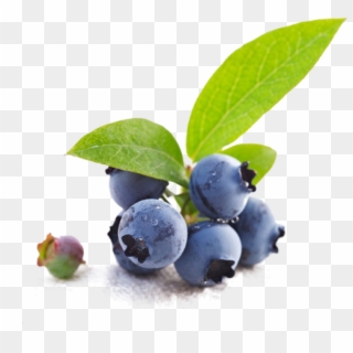 Bio Blueberry - Blueberry Clipart