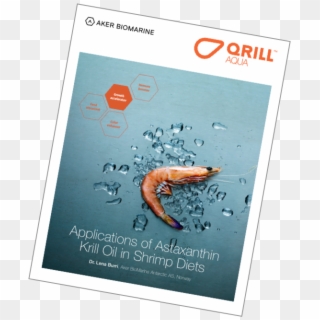 Applications Of Astaxanthin Krill Oil In Shrimp Diets - Poster Clipart