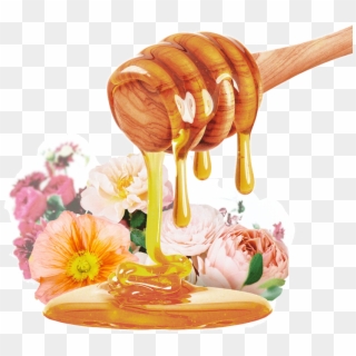 Honey Type Thousand Flowers - Honey Dripping Down Clipart