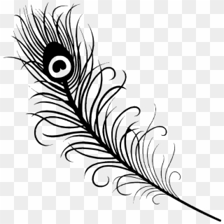 Drawn Flute Peacock Feather - Peacock Feather Vector Black And White Clipart