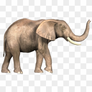 Background Elephant In Bahubali Clipart