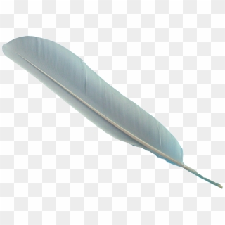 Feather Png - Feather With No Background Clipart