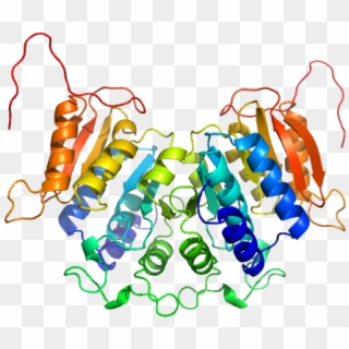 Methyltransferase Domain Protein Modeller Model Clipart