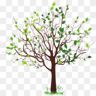 Spring Tree With Snowdrops Png - Spring Tree Clipart Png Transparent Png