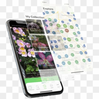 We Are Continuously Working To Improve Plantsnap And - Iphone Clipart