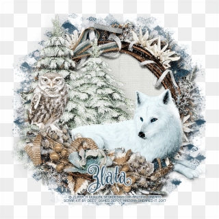 White Wolf - Arctic Fox Clipart