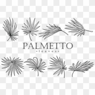 Palmetto Leaves Vector Orangereebok - Palmetto Leaf Clipart