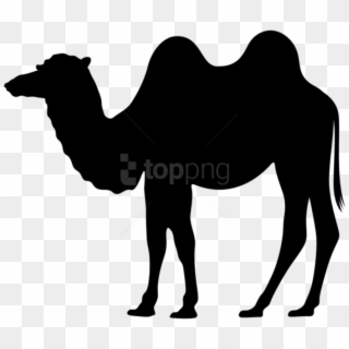 Free Png Camel Silhouette Png Png - Camel Silhouette Png Clipart