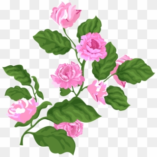 Rose Pink Valentine Plant Png And Vector Image - Garden Roses Clipart