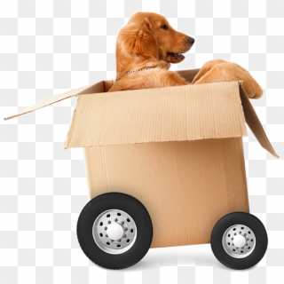 Pet Taxi - Dog In A Moving Box Clipart