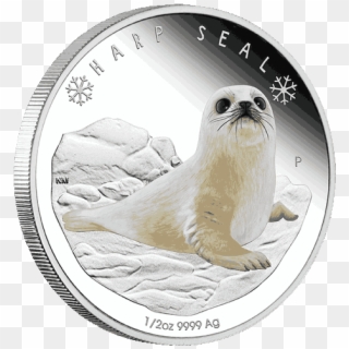 Silver Numismatic Harp Seal Polar Babies Silver Coin - Coin Clipart