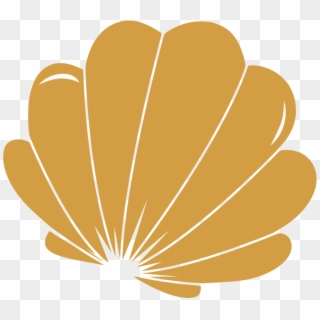 Shell Nereida Lngerie Clipart