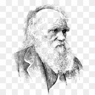 Charles Darwin Portrait Svg - Drawing Charles Darwin Portrait Clipart