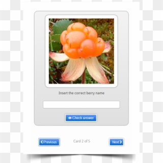 Flashcards - Cloudberry Clipart