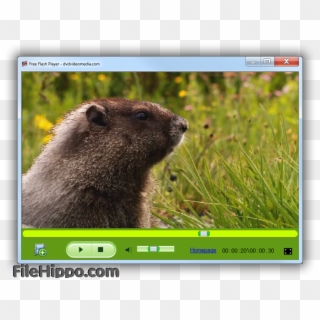 Capture D'écran - Windows 7 Clipart